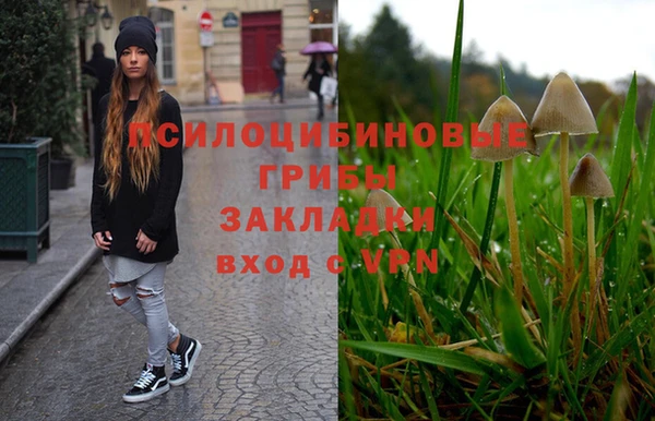 твердый Пролетарск