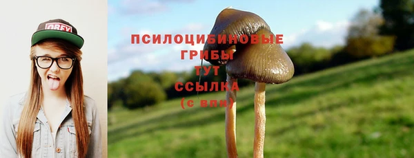 твердый Пролетарск